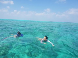 ASAA View – Holiday House Maldives